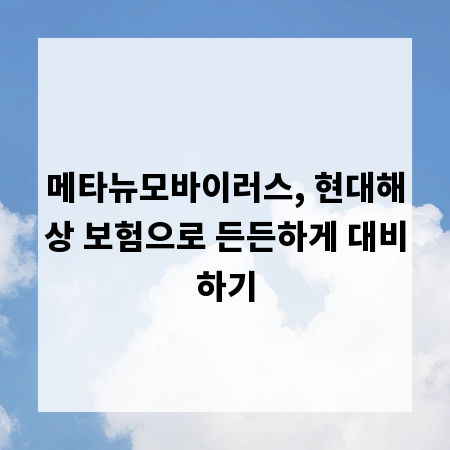 메타뉴모바이러스, 현대해상 보험으로 든든하게 대비하기