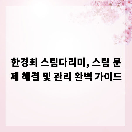 한경희 스팀다리미, 스팀 문제 해결 및 관리 완벽 가이드