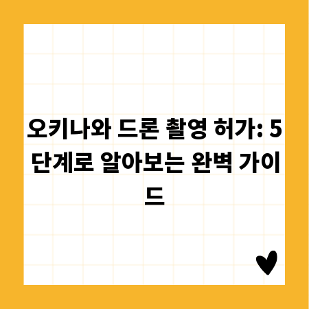 오키나와 드론 촬영 허가: 5단계로 알아보는 완벽 가이드