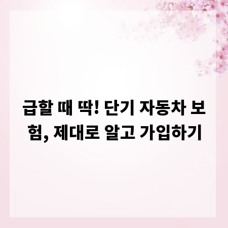급할 때 딱! 단기 자동차 보험, 제대로 알고 가입하기