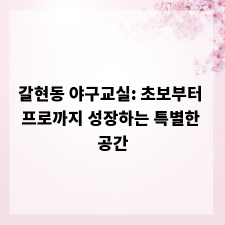갈현동 야구교실: 초보부터 프로까지 성장하는 특별한 공간