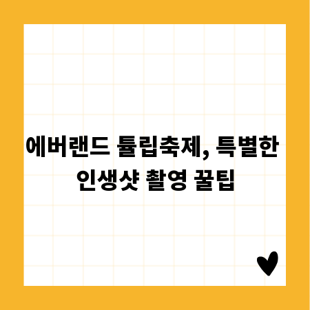 에버랜드 튤립축제, 특별한 인생샷 촬영 꿀팁