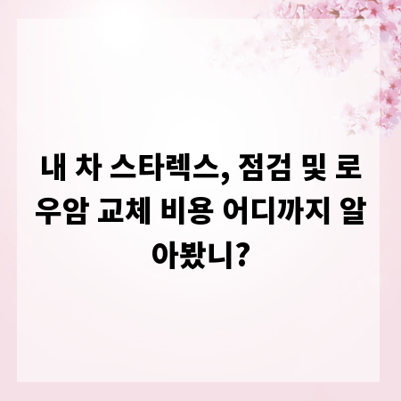 내 차 스타렉스, 점검 및 로우암 교체 비용 어디까지 알아봤니?