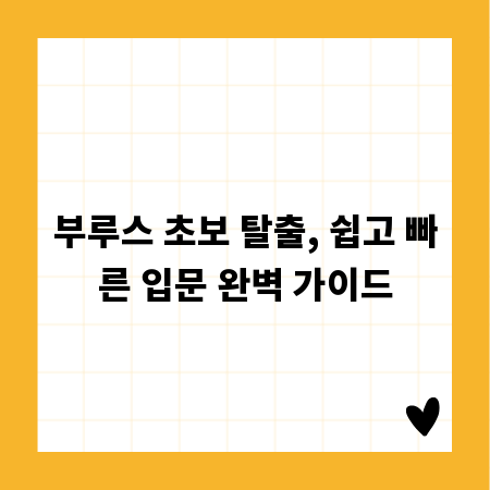 부루스 초보 탈출, 쉽고 빠른 입문 완벽 가이드