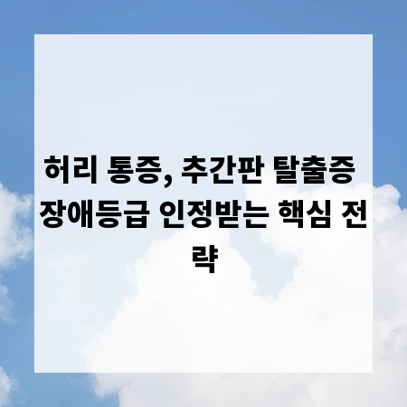 허리 통증, 추간판 탈출증 장애등급 인정받는 핵심 전략