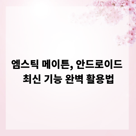 엠스틱 메이튼, 안드로이드 최신 기능 완벽 활용법