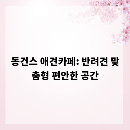 동건스 애견카페: 반려견 맞춤형 편안한 공간