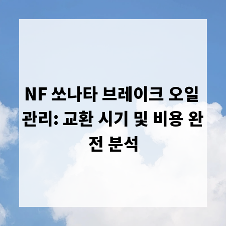 NF 쏘나타 브레이크 오일 관리: 교환 시기 및 비용 완전 분석