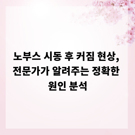 노부스 시동 후 커짐 현상, 전문가가 알려주는 정확한 원인 분석