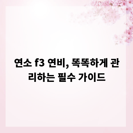 연소 f3 연비, 똑똑하게 관리하는 필수 가이드