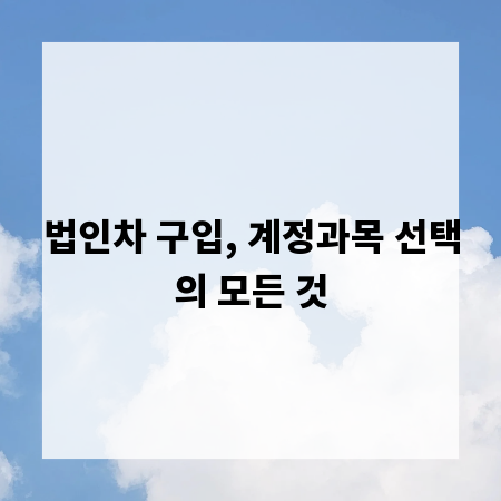 법인차 구입, 계정과목 선택의 모든 것