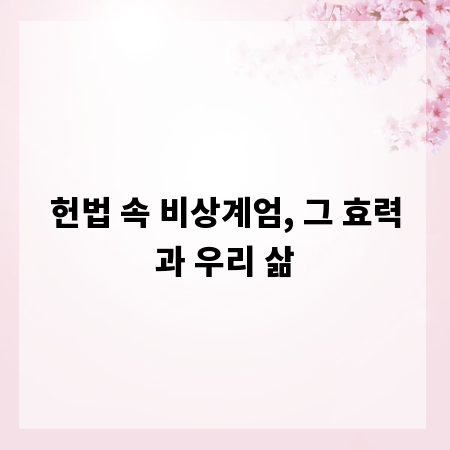 헌법 속 비상계엄, 그 효력과 우리 삶