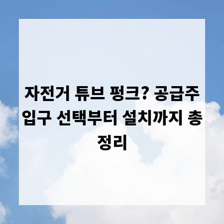 자전거 튜브 펑크? 공급주입구 선택부터 설치까지 총정리