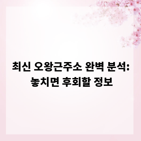 최신 오왕근주소 완벽 분석: 놓치면 후회할 정보