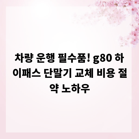차량 운행 필수품! g80 하이패스 단말기 교체 비용 절약 노하우
