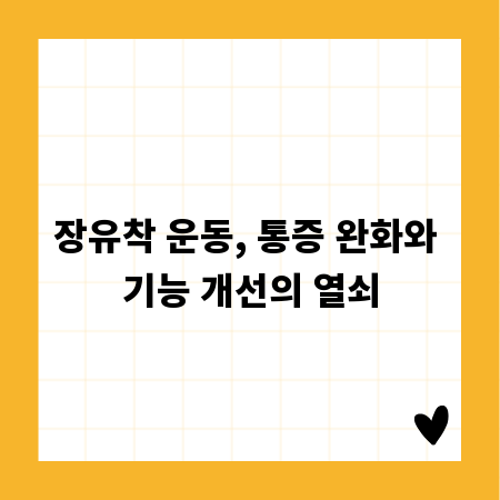 장유착 운동, 통증 완화와 기능 개선의 열쇠