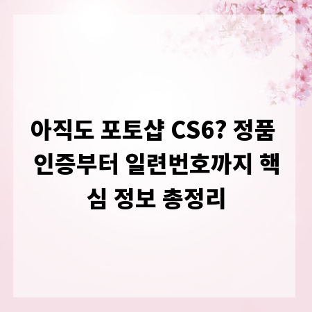 아직도 포토샵 CS6? 정품 인증부터 일련번호까지 핵심 정보 총정리