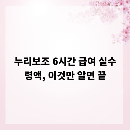 누리보조 6시간 급여 실수령액, 이것만 알면 끝