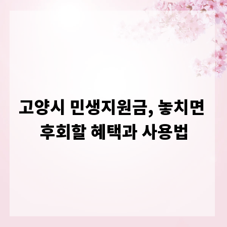고양시 민생지원금, 놓치면 후회할 혜택과 사용법
