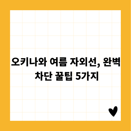 오키나와 여름 자외선, 완벽 차단 꿀팁 5가지