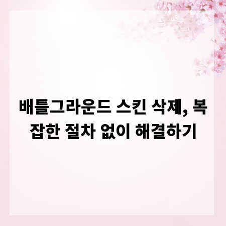 배틀그라운드 스킨 삭제, 복잡한 절차 없이 해결하기