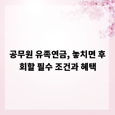 공무원 유족연금, 놓치면 후회할 필수 조건과 혜택