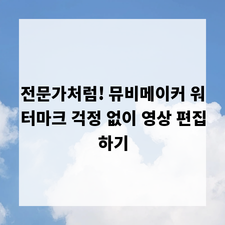 전문가처럼! 뮤비메이커 워터마크 걱정 없이 영상 편집하기