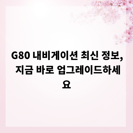 G80 내비게이션 최신 정보, 지금 바로 업그레이드하세요
