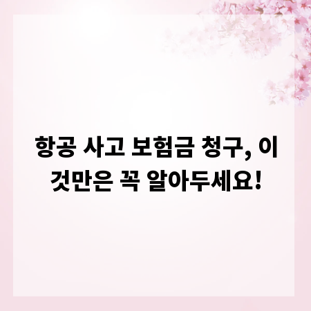 항공 사고 보험금 청구, 이것만은 꼭 알아두세요!