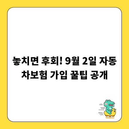 놓치면 후회! 9월 2일 자동차보험 가입 꿀팁 공개