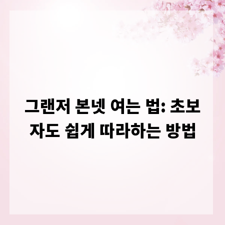 그랜저 본넷 여는 법: 초보자도 쉽게 따라하는 방법