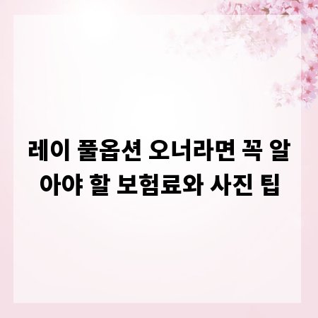 레이 풀옵션 오너라면 꼭 알아야 할 보험료와 사진 팁
