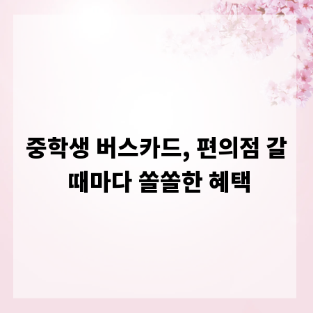 중학생 버스카드, 편의점 갈 때마다 쏠쏠한 혜택