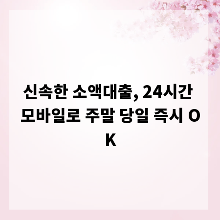 신속한 소액대출, 24시간 모바일로 주말 당일 즉시 OK