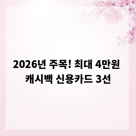 2026년 주목! 최대 4만원 캐시백 신용카드 3선