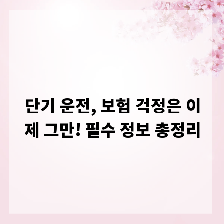 단기 운전, 보험 걱정은 이제 그만! 필수 정보 총정리