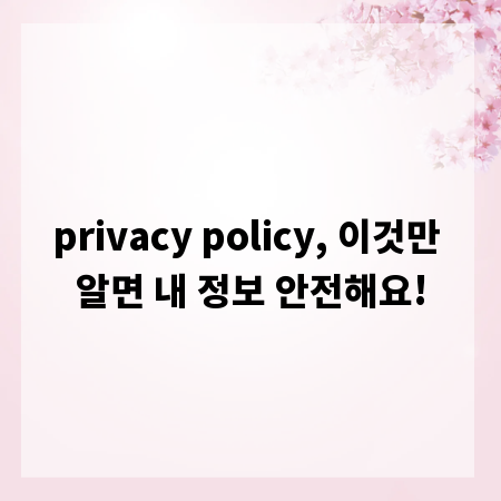privacy policy, 이것만 알면 내 정보 안전해요!