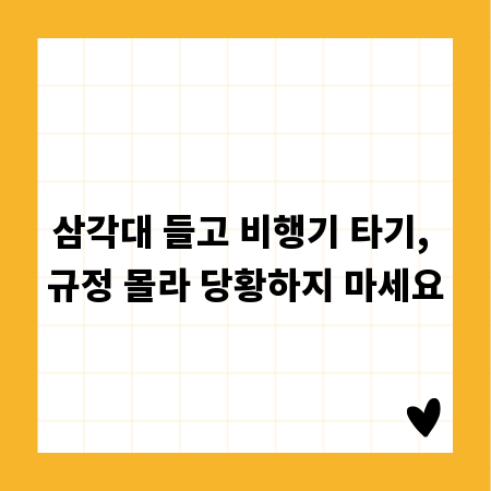 삼각대 들고 비행기 타기, 규정 몰라 당황하지 마세요
