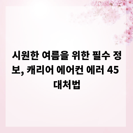 시원한 여름을 위한 필수 정보, 캐리어 에어컨 에러 45 대처법