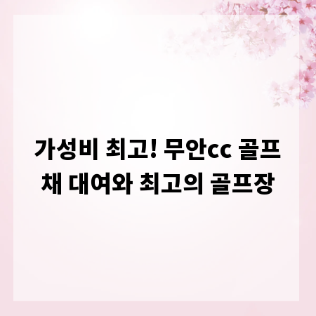 가성비 최고! 무안cc 골프채 대여와 최고의 골프장