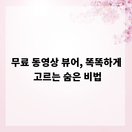 무료 동영상 뷰어, 똑똑하게 고르는 숨은 비법