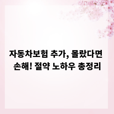 자동차보험 추가, 몰랐다면 손해! 절약 노하우 총정리