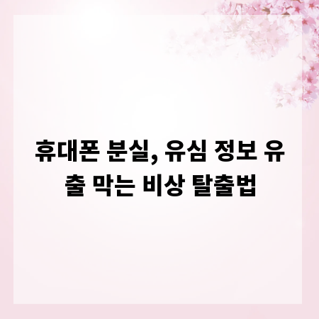 휴대폰 분실, 유심 정보 유출 막는 비상 탈출법