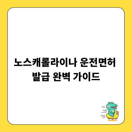 노스캐롤라이나 운전면허 발급 완벽 가이드