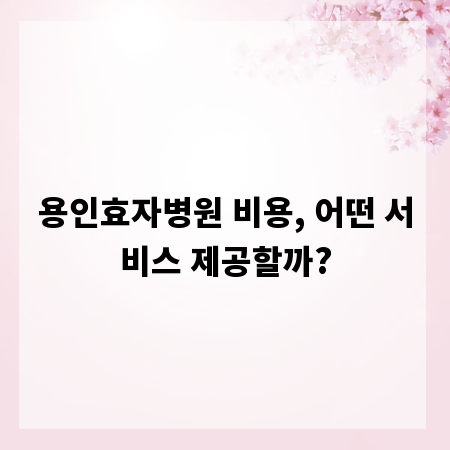 용인효자병원 비용, 어떤 서비스 제공할까?
