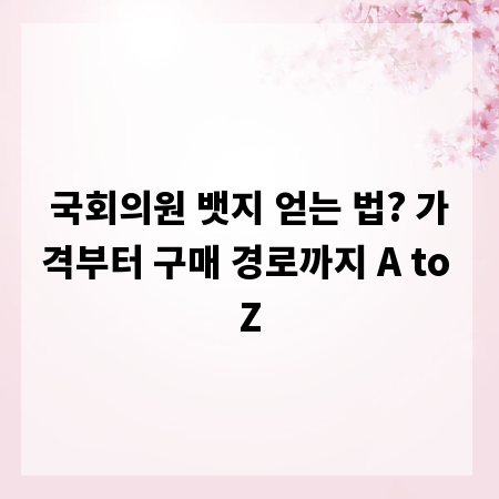 국회의원 뱃지 얻는 법? 가격부터 구매 경로까지 A to Z
