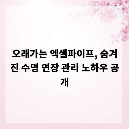 오래가는 엑셀파이프, 숨겨진 수명 연장 관리 노하우 공개