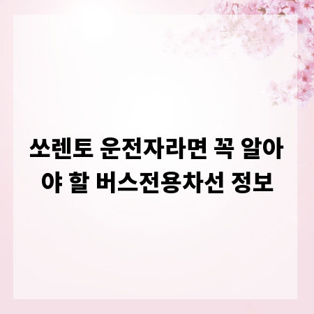 쏘렌토 운전자라면 꼭 알아야 할 버스전용차선 정보