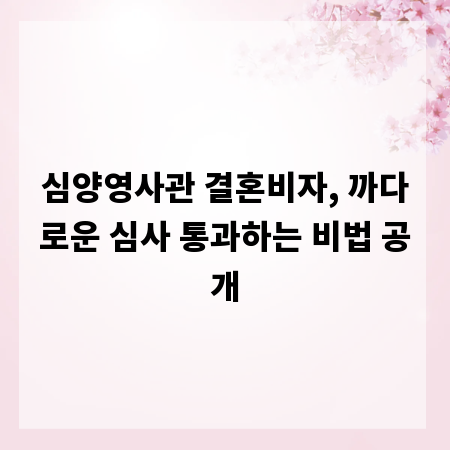 심양영사관 결혼비자, 까다로운 심사 통과하는 비법 공개