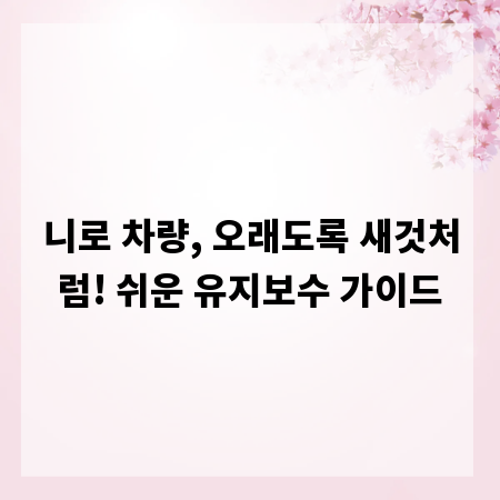 니로 차량, 오래도록 새것처럼! 쉬운 유지보수 가이드